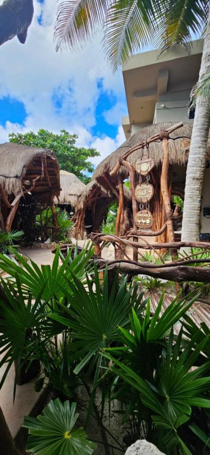 Cabanas Playa Condesa ตูลุม ภายนอก รูปภาพ